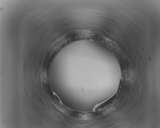 X0000062840564200601201641