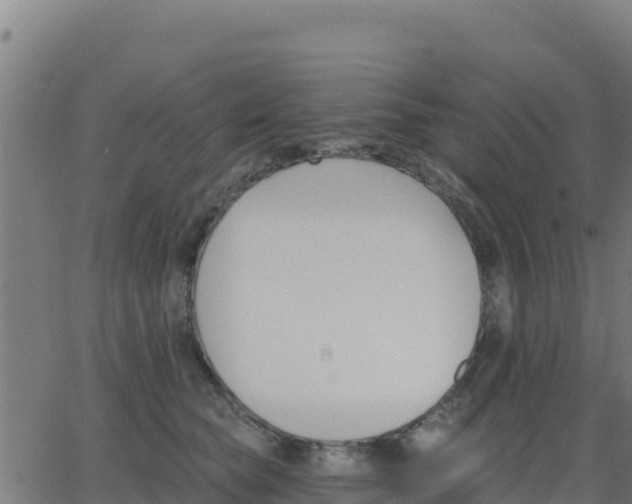 X0000062840565200601201641