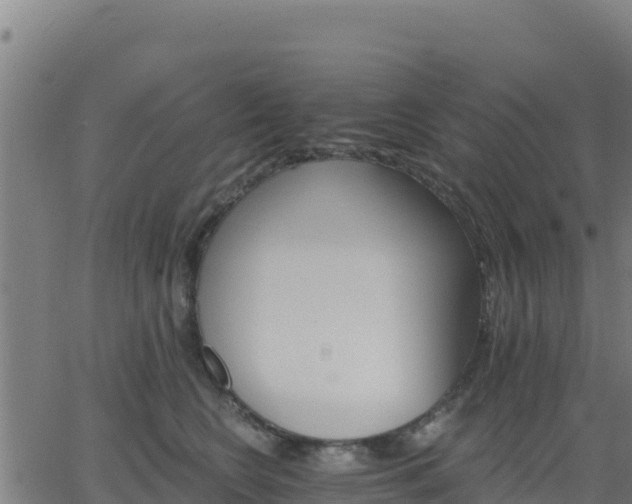 X0000062840566200601201641