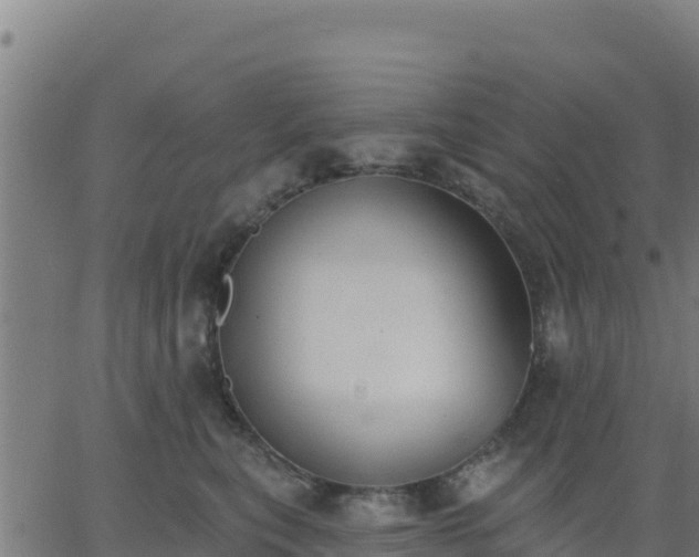 X0000062840567200601201641