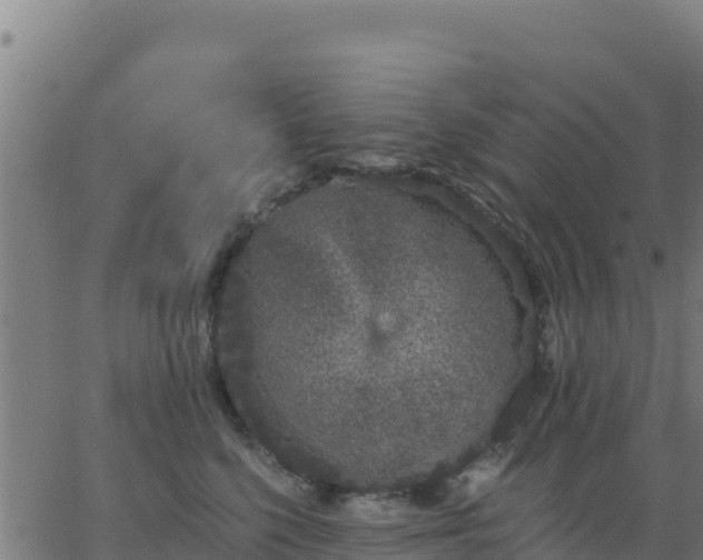 X0000062840568200601201641