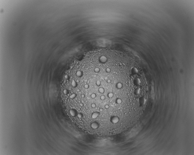 X0000062840569200601201641