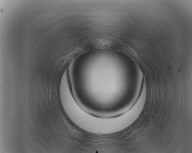 X0000062840570200601201641