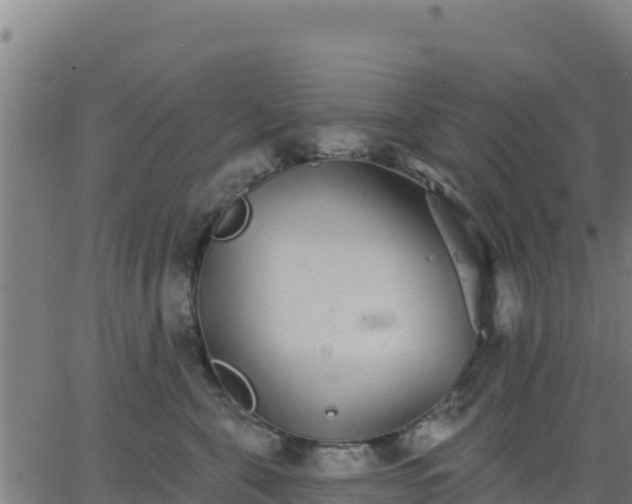 X0000062840571200601201641