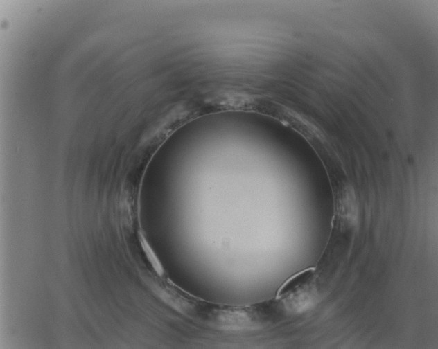 X0000062840572200601201641