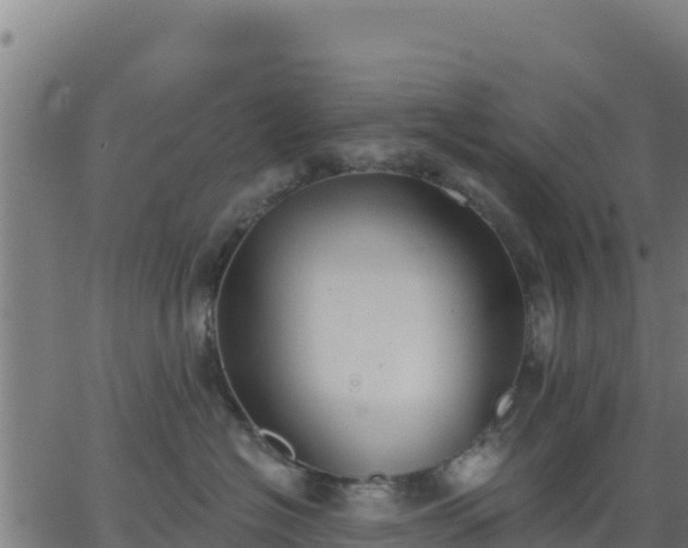 X0000062840574200601201641