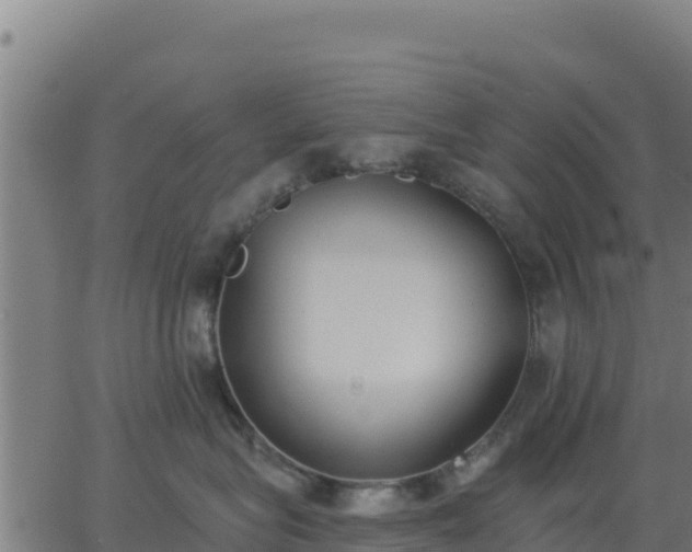 X0000062840575200601201641