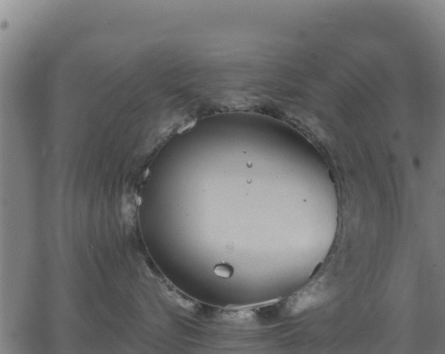 X0000062840576200601201641