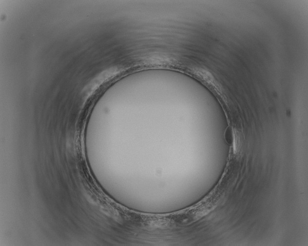 X0000062840579200601201640