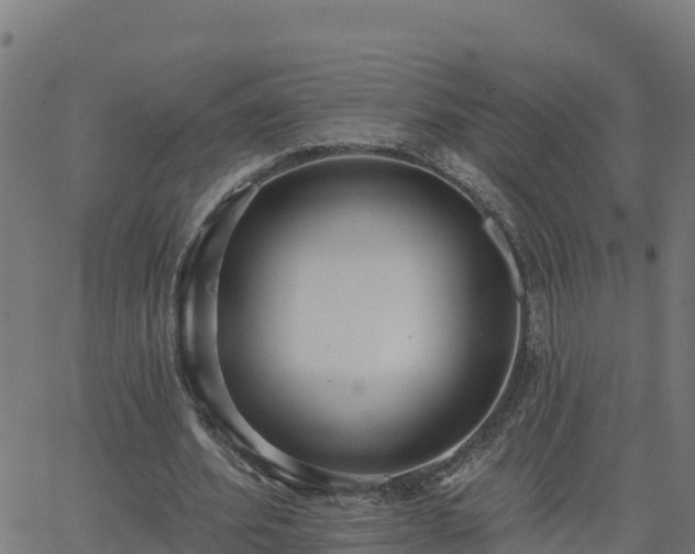 X0000062840580200601201640