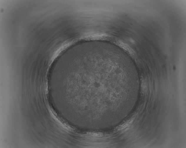 X0000062840582200601201640