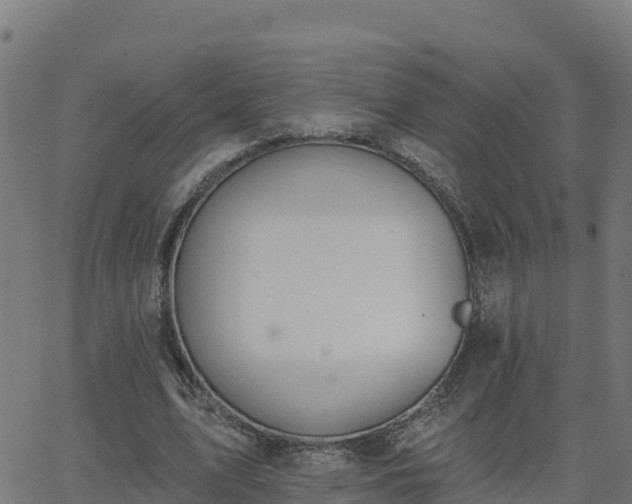 X0000062840583200601201640