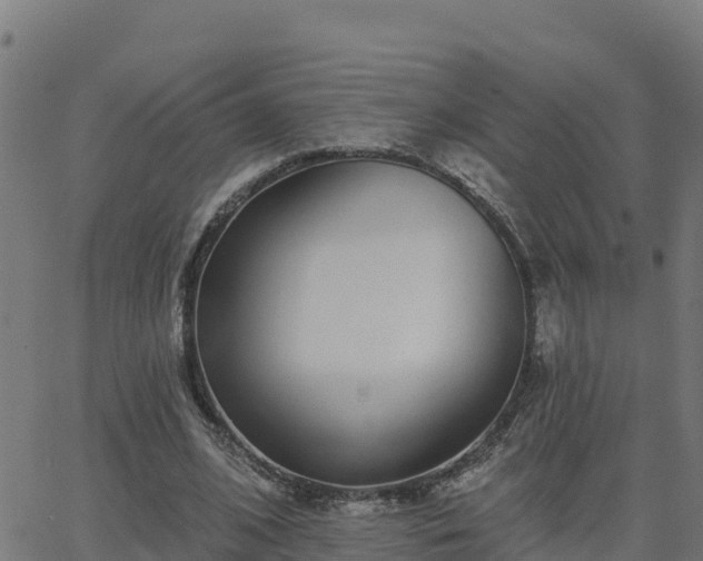 X0000062840584200601201640