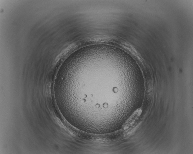 X0000062840585200601201640