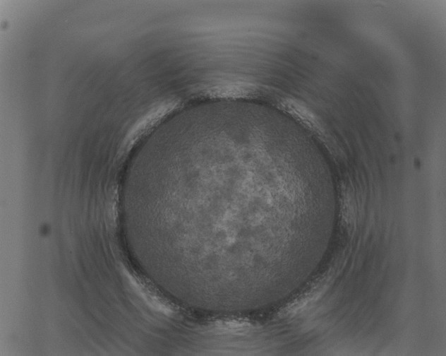 X0000062840586200601201640