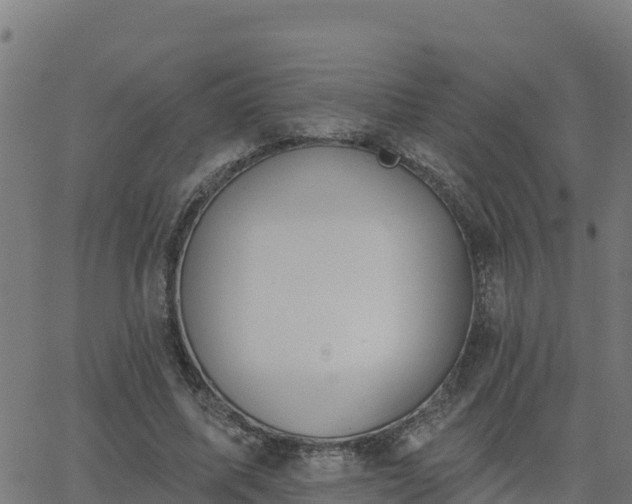 X0000062840587200601201640