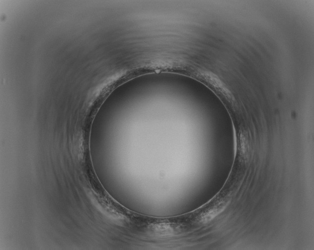 X0000062840588200601201640