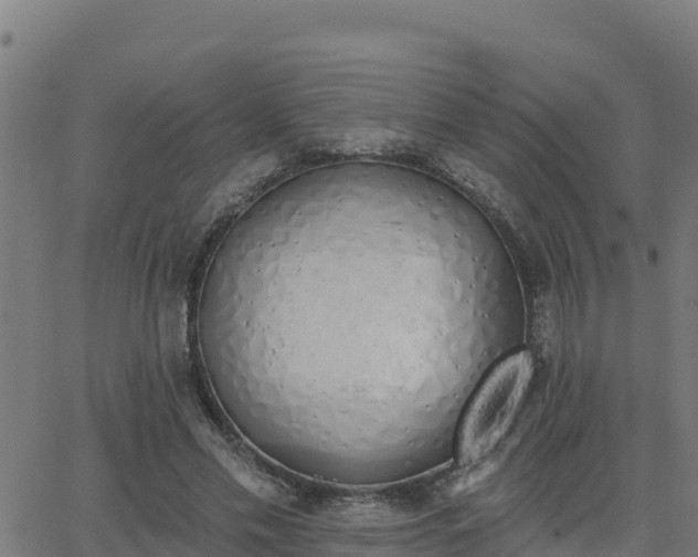 X0000062840589200601201640