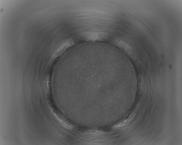 X0000062840590200601201640