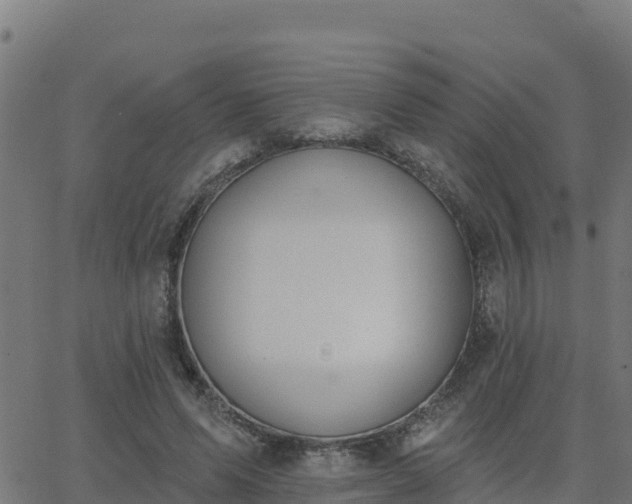 X0000062840591200601201640