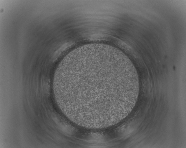 X0000062840592200601201640