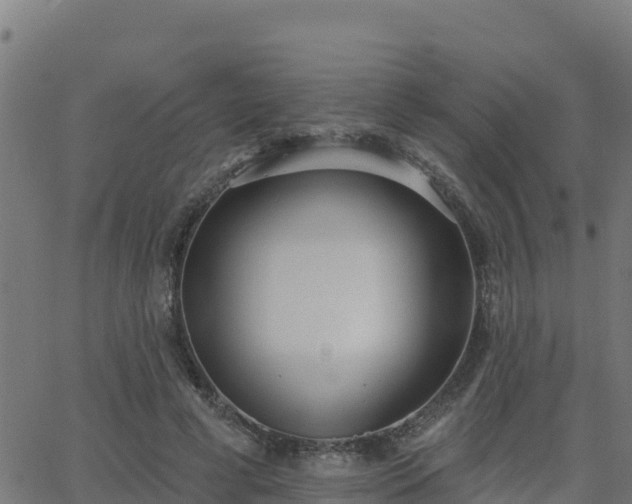 X0000062840593200601201640