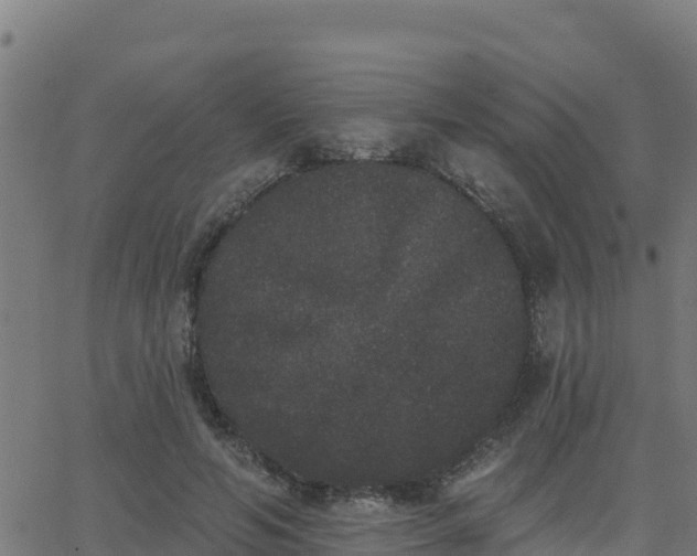 X0000062840594200601201640