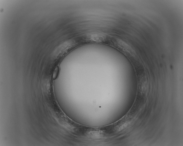 X0000062840595200601201640