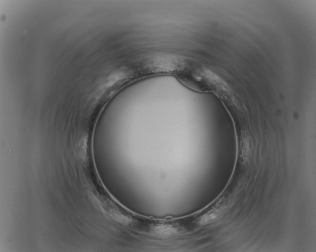 X0000062840596200601201640