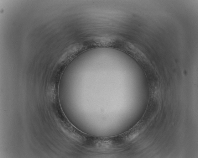 X0000062840599200601201640