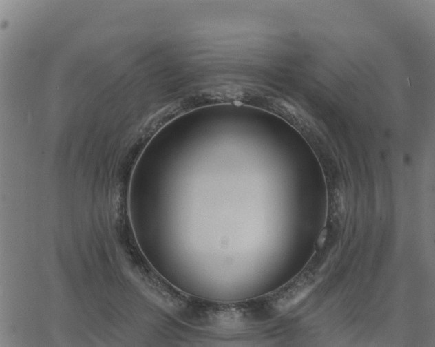 X0000062840600200601201640