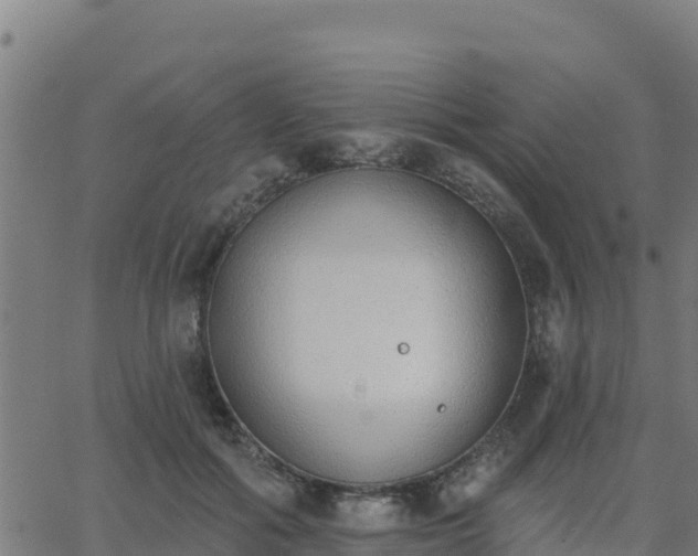 X0000062840602200601201640