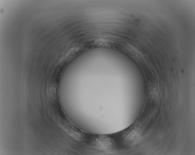 X0000062840603200601201640