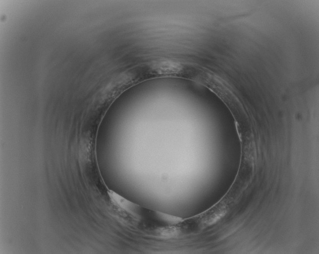 X0000062840604200601201640