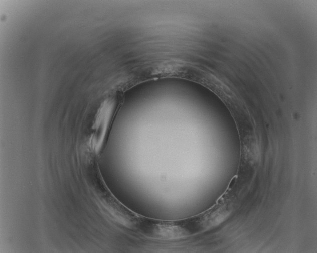 X0000062840605200601201640