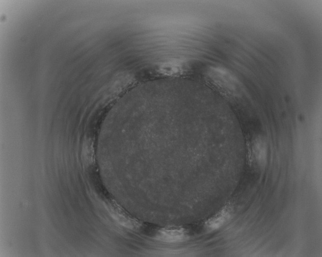 X0000062840606200601201640