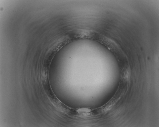 X0000062840607200601201640