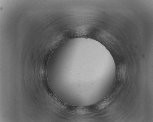 X0000062840608200601201640