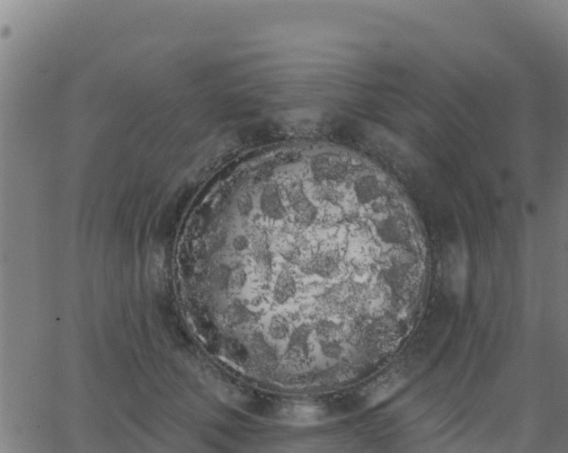 X0000062840610200601201640