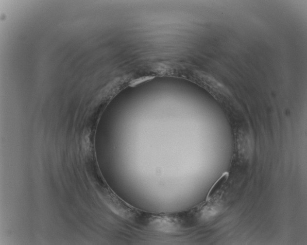 X0000062840611200601201640