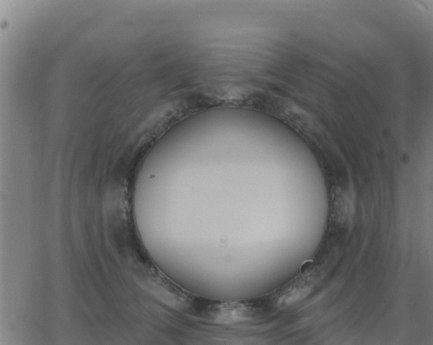 X0000062840612200601201640