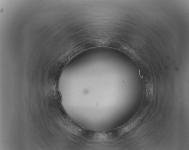 X0000062840613200601201639