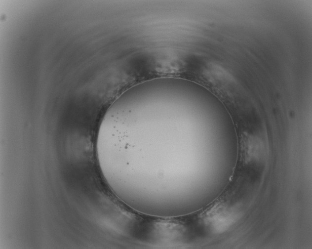 X0000062840614200601201639