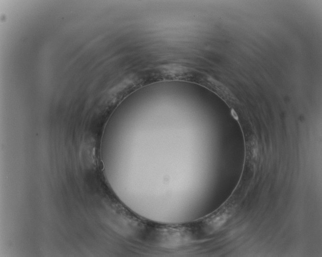 X0000062840615200601201639