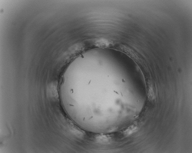 X0000062840616200601201639