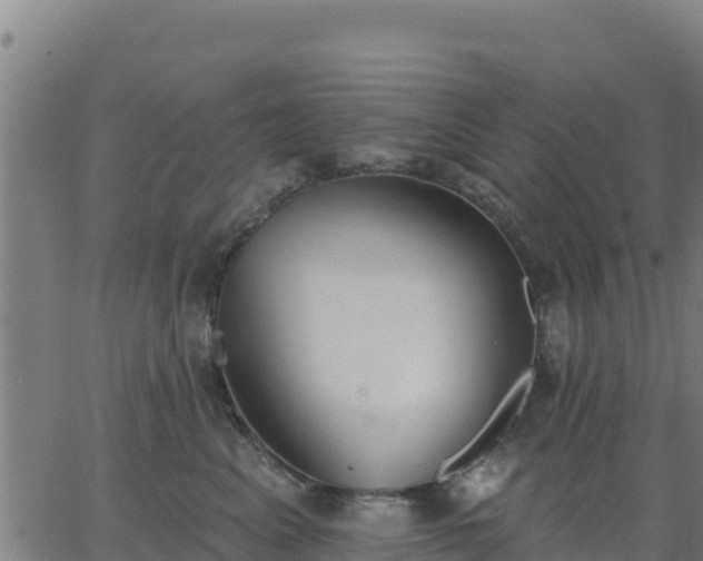 X0000062840617200601201639