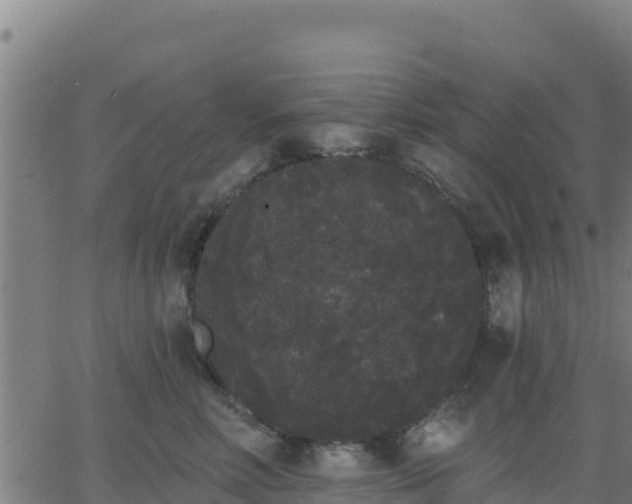 X0000062840618200601201639