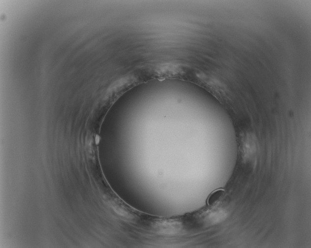 X0000062840619200601201639