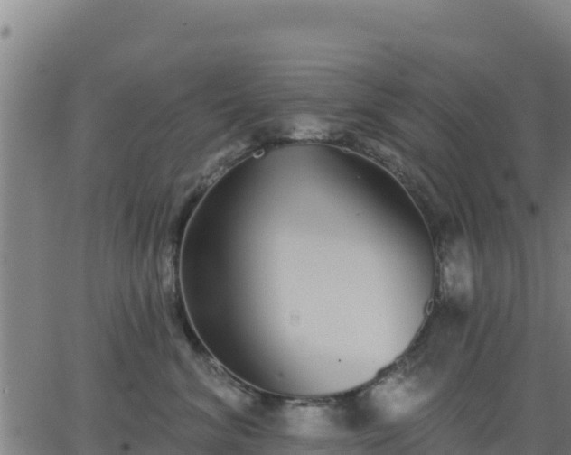 X0000062840620200601201639