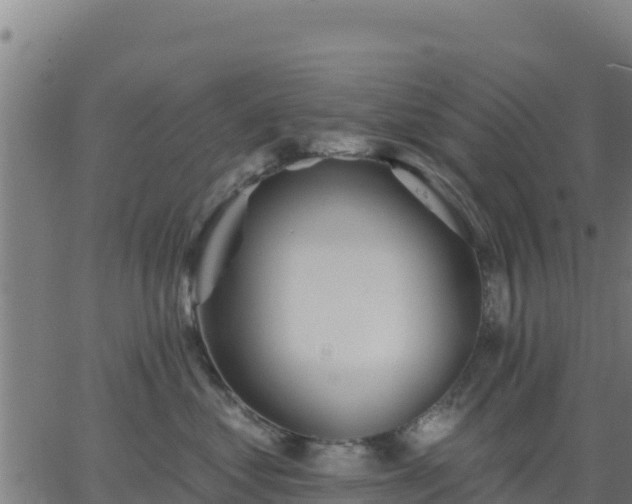 X0000062840621200601201639